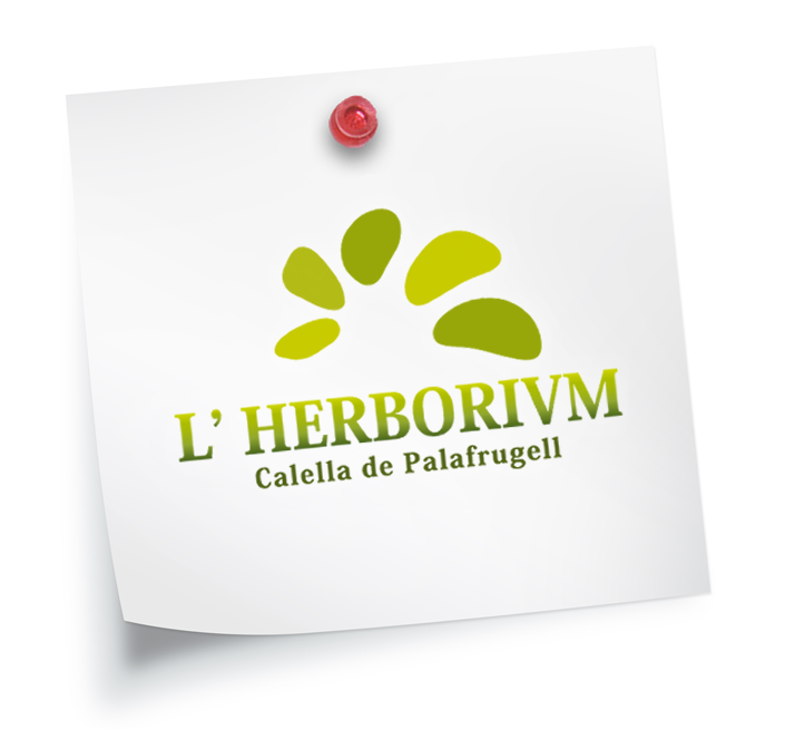 Logo Herborivm